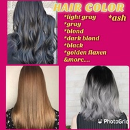 Bremod Hair Color Hair Dye 100ml / Hair Color set/ Gray / Ash/ Silver gray
