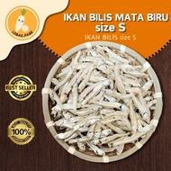 Ikan bilis mata biru / ikan bilis size S / bilis mata biru / ikan bilis kecil