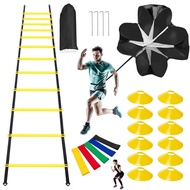 Speed Agility Ladder Training Set-12 Rung 6M Agility Ladder,12 Disc Cones,5 Resistance Bands,4 Steel