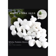 1kg WHITE STONE WHITE aquarium STONE/ RIVER STONE/ DECORATIVE STONE/ STONE/ white pebbles stone aqua