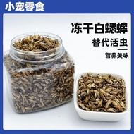 High-Quality High-Protein~White Cricket Freeze-Dried Honey Glider Food Hamster Snacks Gecko Food Liz
