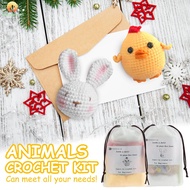 DIY Crochet Kit Cute Rabbit Chick Crochet Kit Professional Crochet Starter Kit SHOPSKC8717