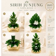 Sirih junjung hantaran tanpa bunga (daun sirih plastik siap gubah dengan gabus sahaja)(298/299/300)