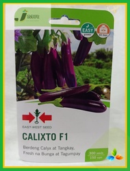 East West Calixto F1 Eggplant seeds Pack (300 seeds/pack)