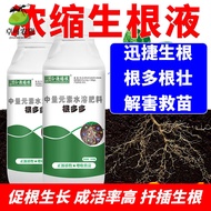 Rooting Agent Water Soluble Fertilizer Dodo Strong Seedling Agent Organic Fertilizer Flushing Fertilizer Fruit Tree Tran