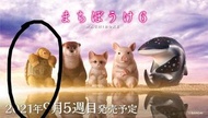 有烏龜 賣/可交換 Bandai ~ Machiboke 動物排排坐 等待動物6  扭蛋