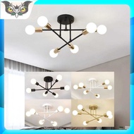 Iron Frame LED Ceiling Light E27 Socket Modern Minimalist Ceiling Light