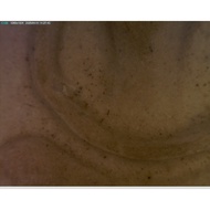 LP PAE PIM KAISER  SOMDEJ  WAT PIKULTHONG 2517 BE.