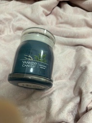 Yankee Candle Bayside Cedar 香薰蠟燭