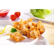 Vegetarian Chicken Meat Slice