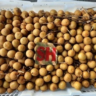 Promo Buah Kelengkeng 1 Keranjang 10Kg / Kelengkeng 1 Krat Terlaris