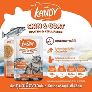 Kandy แคนดี้ อาหารเปียกแมว ไม่ใส่เกลือ ผลิตจากปลาเนื้อขาว ขนาด 70 กรัม