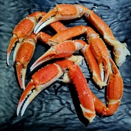 KAKI KEPITING SALJU ALASKA KING CRAB NEEW