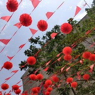 Velvet Lanterns Decorating Peach Trees and Apricot Trees Chinese New Year 2027