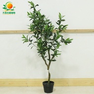 Simulation Olive Tree Green Plant Indoor Hotel Shopping Mall Decoration Fake Simulation Bonsai Olive