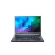 Acer Predator Triton 500 SE PT516-51s-91KS Gaming Laptop (i9-11900H 4.90GHz,1TB SSD,32GB,RTX3080 8GB