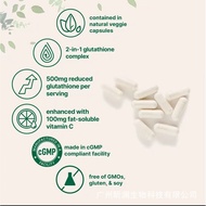 Ready Stock Fast Shipping Hot Sale Source Factory Moringa capsule Moringa Powder capsule Support O E