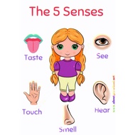 A4 Laminated Educational Posters, Five senses. Learning Charts For Kids