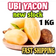 READY STOCK UBI YACON FRESH LADANG 1KG