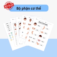 Learning materials [body parts] body parts in English for children - ngonho.shop