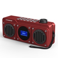 Avantree Boombyte FM Small Radio with Bluetooth Speaker, Portable with Powerful Sound, Stereo Sound,
