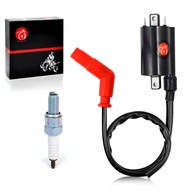 Ignition Coil & Spark Plug For Yamaha Raptor 700 Raptor 700R YFM 700 700R 2006-2018 4DN-82320-00-00 