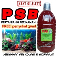 psb PHOTOSYNTHETIC BACTERIA  home made, jernihkan air akuarium - kolam / baja / penggalak akar