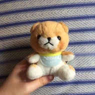 三兄弟豆柴 小狗