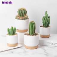 【hot sale】Succulent Plant Pot Double-layer Succulent Green Dill Small Green PlantFlowerpot