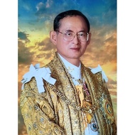 Picture Of King Rama Ix Size 12x18 Inches Photo Frame