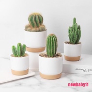 【NB】Succulent Plant Pot Double-layer Succulent Green Dill Small Green PlantFlo