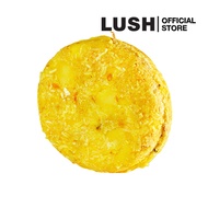 LUSH Godiva Shampoo and Conditioner Bar