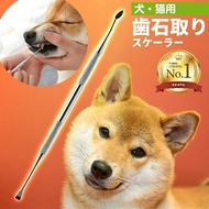 寵物安全口腔護理工具：犬貓專用潔牙器。預防蛀牙、齲齒、牙髓炎和牙周病。尤其適合老年犬貓。標準郵寄！