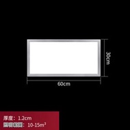 DDS - LED平板燈【26W】【30*60cm銀邊】 #N161_012_058