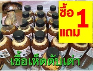 เชื้อเห็ดตับเต่าเข้มข้น (เห็ดผึ้งเห็ดห้า) ซื้อ 1 ขวด แถม 1 ขนาด 500 ML.