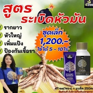 ชุดระเบิดหัวมัน 4Tree โฟร์ทรี (1ซอง) + อะมิโนแบล็คamino Black (ขนาด 250 ซีซี) สำหรับไร่มันสําปะ