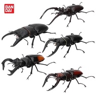 BANDAI Biological Encyclopedia 06 Antlers Beetle Beetle Beetle Type Beetle General Fork Saw Spade M