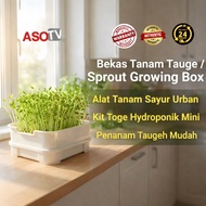 ASOTV® Single-Layer Sprout Growing Box with Water Tray 1489 – Bekas Tanam Tauge 2 Tingkat Sistem Aka