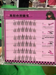 Bulu mata siap sakli gum Borong satu box