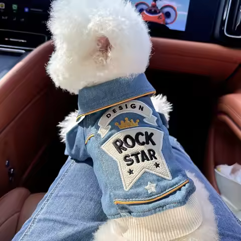 Winter Fashion Pet Jackets Rock Embroidery Blue Jacket Pet Clothes Dog Cat Spring Handsome Out Tract