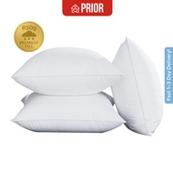 [SG Seller] Cushion Insert Pillow 50x50cm | Square Pillow Insert Soft Fluffy Cushion Filling | SG Se