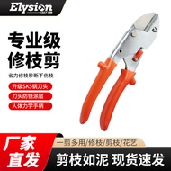 Strong SK5 Pruning Branch Shears Fruit Branch Shears Flower Branch Shears Pruning Shears Thick Branc