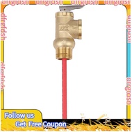 【D&F】WYA-20 99C 102PSI 210F WYA-20 0.7Mpa to Valve  3/4 Inch Temperature and Pressure Relief Valve A