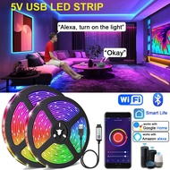 0.5-5M 2835 RGB LED Strip Light USB Bluetooth Wifi App 5V LED Lights Flexible Luces Led Ribbon RGB T