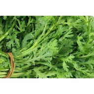 Tang O Small Leave Seeds 300Pcs Fr SG