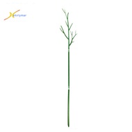 Sr Anti-deform Plant Support Stake Household Supplies Twig Plant Support Stake Orchid Clips Rust-Proof
