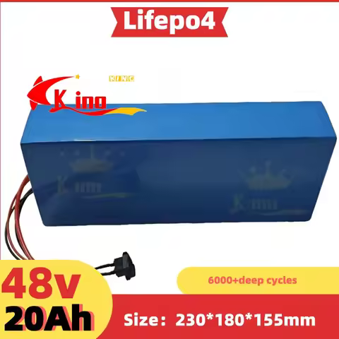 FS -lithium 48v 20ah lifepo4 battery pack BMS 16s 51.2v 20Ah for 800W 1000W 1200W 2000w 5000w 7000w 