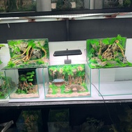 Fish tank with driftwood setup layout for tanks 30x18x18cm, 30x20x20cm