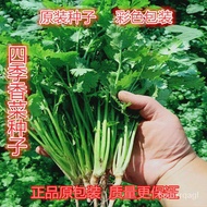 Original Color Bag Four Seasons Big Leaf Coriander Seed Balcony Potted Farmland Four Seasons Planting Disease-Resistant