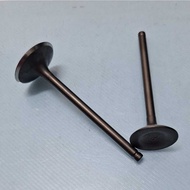KTNS RA2 250 - Valve Set [ Exhaust + Intake ] -2 Pcs ORI -OE